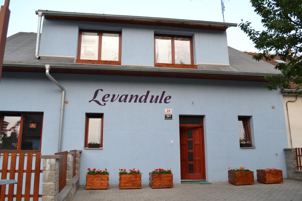 Levandule Brno Luaran gambar